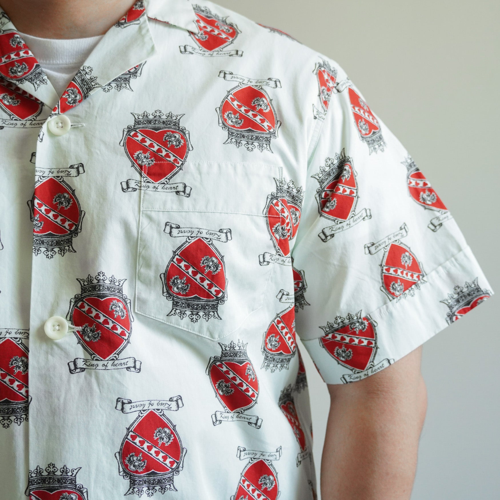 TOWNCRAFT】PRINTED PAJAMA SS SHIRTS【美品】 - シャツ